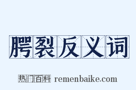 腭裂反义词是什么意思的图片